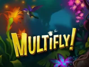 Multifly! screenshot