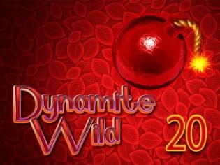 Dynamite Wild 20 screenshot